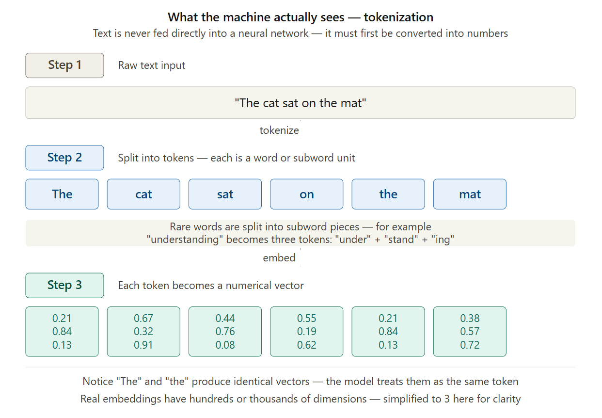 How AI Understands Human Language