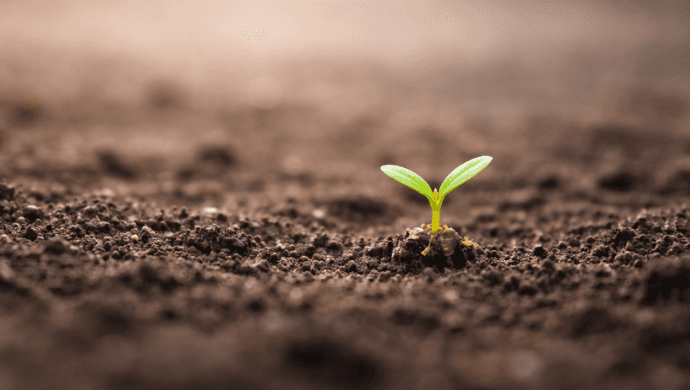 The tiny habits that secretly built giant companies