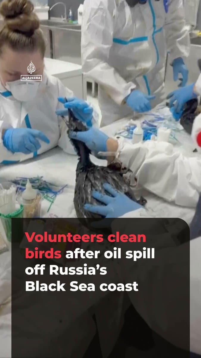 Volunteers clean oil-covered birds after a spill off Russia’s Black Sea coast near the Sea of Azov. The cause is unclear. Moscow blames Ukrainian drones, but storm-damaged Russian tankers spilled fuel in December 2024. pic.