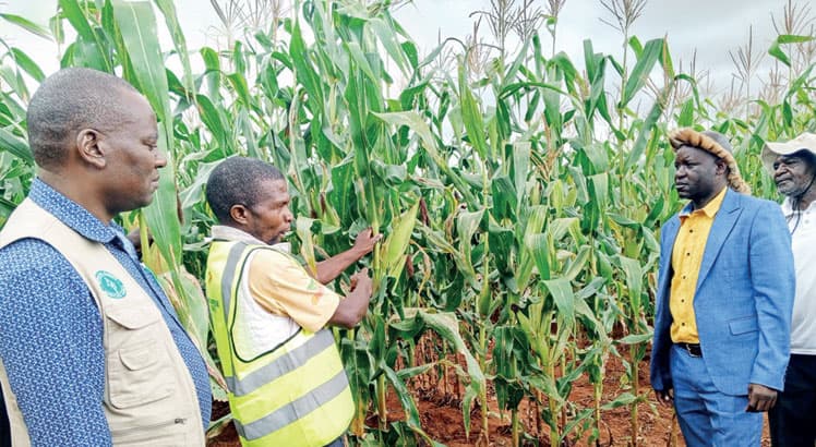 Don’t sell farm produce,Mzimba farmers told